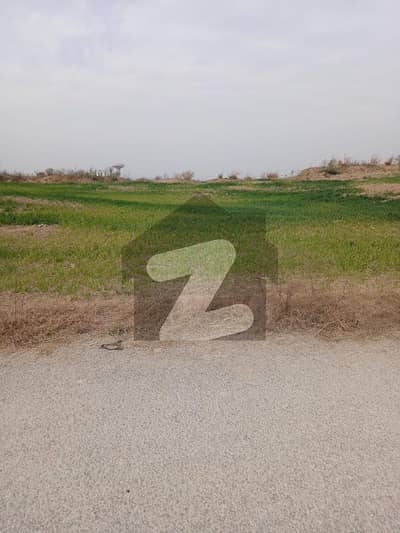 Sun face 30x60 plot located among many houses