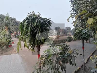 Book A Residential Plot Of 2 Marla In Marghzar Officers Colony Marghzar Officers Colony