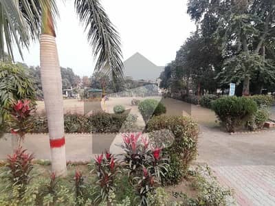 Ideally Located Residential Plot Of 2 Marla Is Available For sale In Marghzar Officers Colony