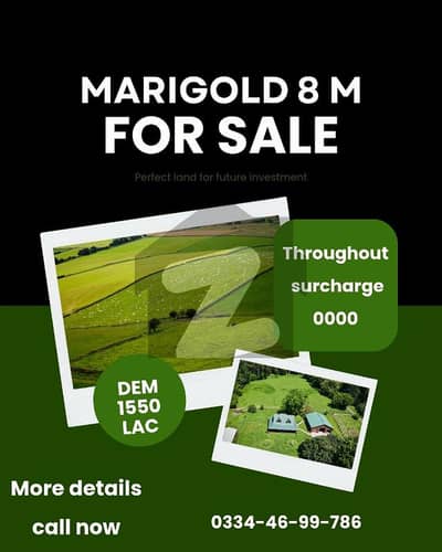 ڈی ایچ اے ویلی ڈی ایچ اے ڈیفینس,اسلام آباد میں 8 مرلہ پلاٹ فائل 15.5 لاکھ میں برائے فروخت۔