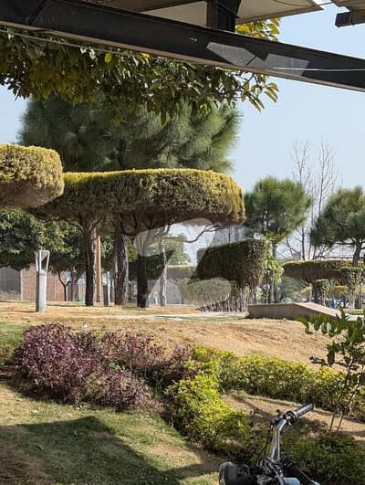 1 kanal possession ready to construction main boulevard back open highted location plot available for sale on investor price in Taj Residencia Tulip block