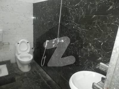 Flats for rent only for bachelors