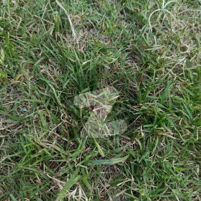 Bahria Town Gateway Commercial Paradise