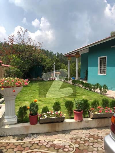 7.15 Kanal Farm House Is Available For Sale On Banda Ali Khan Road Abbottabad