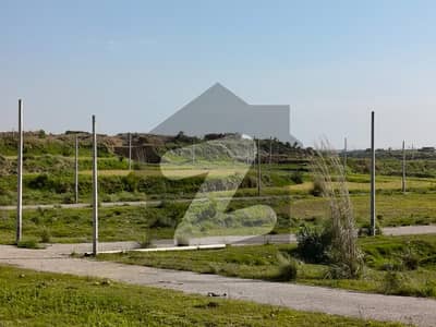 Good Location|Budget Friendly|Multiple Options