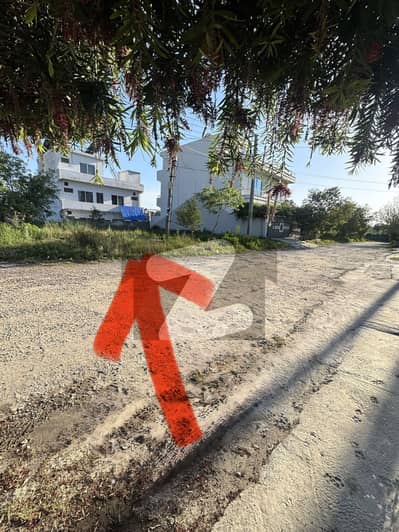 Best location Level Plot 50ft street