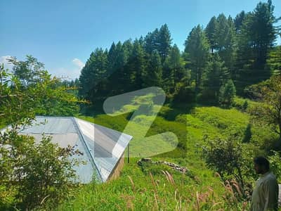 Prime Land for Sale Nathia Gali (VIP Location)