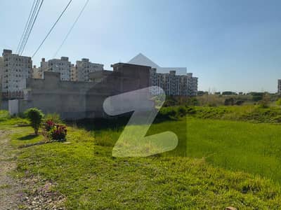 Plot For Sale In I-16|Good Location|Affordable