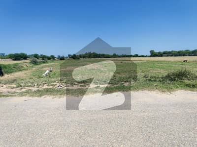 چکری روڈ راولپنڈی میں 30 کنال زرعی زمین 4.5 کروڑ میں برائے فروخت۔