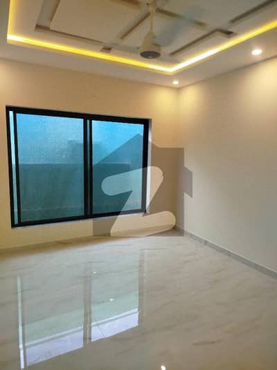 Beautiful Designer Open Basement Available For Rent