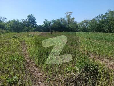 3 Acre - 25 Kanal Farm House Plot for Sale in Tarlai Scheme 1 for sale (CDA Transfer)