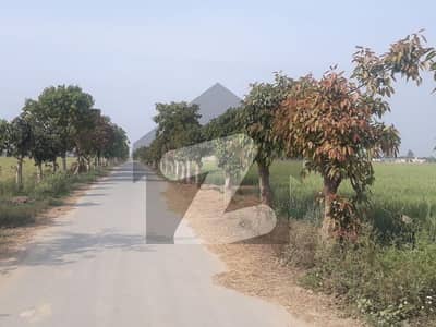 برکی روڈ کینٹ,لاہور میں 8 کنال زرعی زمین 1.0 کروڑ میں برائے فروخت۔