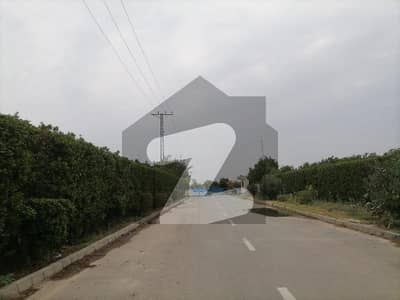 آئی وی وائی فارمز برکی روڈ,کینٹ,لاہور میں 5 کنال رہائشی پلاٹ 3.25 کروڑ میں برائے فروخت۔