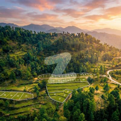 پتریاٹہ نیو مری,مری میں 10 مرلہ رہائشی پلاٹ 90.0 لاکھ میں برائے فروخت۔