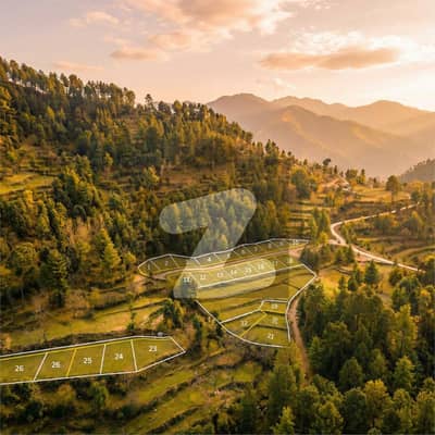 پتریاٹہ نیو مری,مری میں 10 مرلہ رہائشی پلاٹ 90.0 لاکھ میں برائے فروخت۔