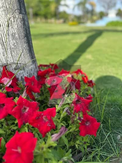 1 Kanal Residential Plot For Sale In C Block Top City1 Islamabad