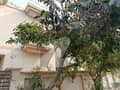 1 1