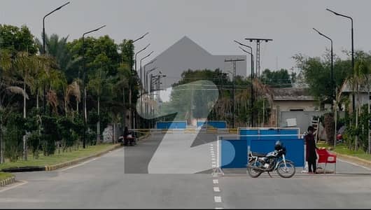 In The Middle Of DHA PHASE 7 Carpeted Road