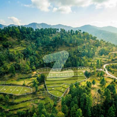 پتریاٹہ نیو مری,مری میں 5 مرلہ رہائشی پلاٹ 48.0 لاکھ میں برائے فروخت۔