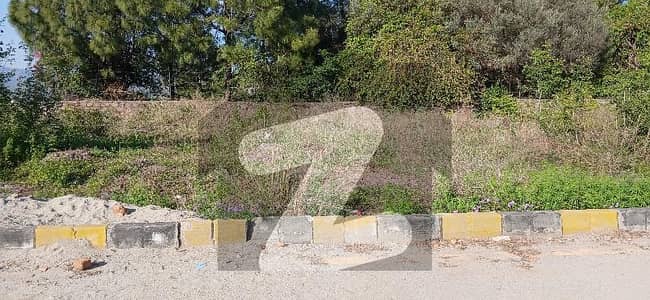 بنی گالہ اسلام آباد میں 8 مرلہ رہائشی پلاٹ 1.36 کروڑ میں برائے فروخت۔