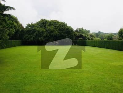 20 Kanal Premium Orchard Farm House for Sale in Prime Location