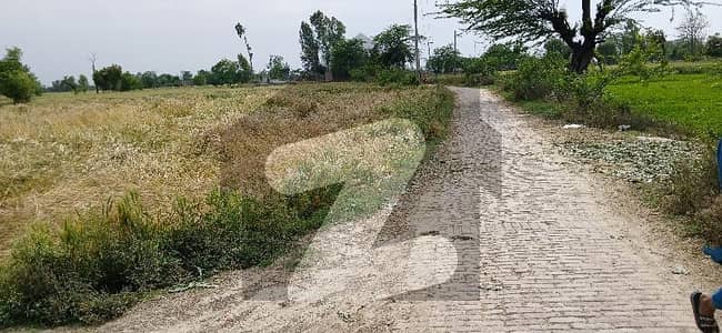 بیدیاں روڈ لاہور میں 8 کنال زرعی زمین 1.2 کروڑ میں برائے فروخت۔