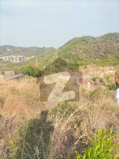 بنی گالہ اسلام آباد میں 4 کنال رہائشی پلاٹ 5.1 کروڑ میں برائے فروخت۔