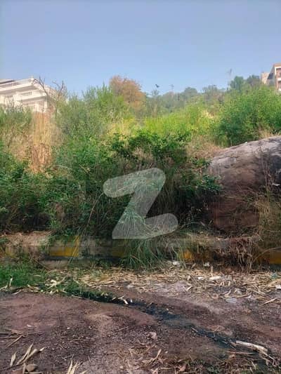 بنی گالہ اسلام آباد میں 12 مرلہ رہائشی پلاٹ 1.44 کروڑ میں برائے فروخت۔