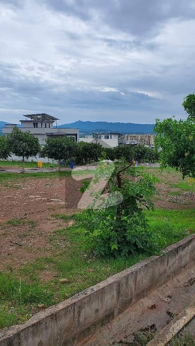 10 Marla Outstanding Location Plot For Sale In Sector J