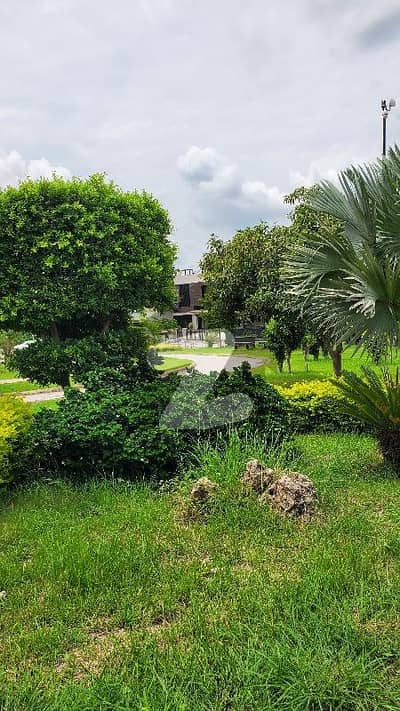 5 Marla Solid Land Possession Able Plot For Sale In Sector N