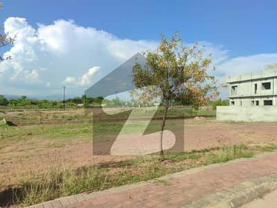 Sector M 1 Kanal Street 5 SunFacing Solid Land Heighted Location Possession Utility Charges Paid Plot For Sale