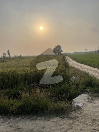 Diary agriculture land