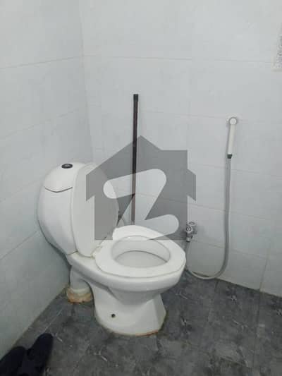 500 yard protein for rent