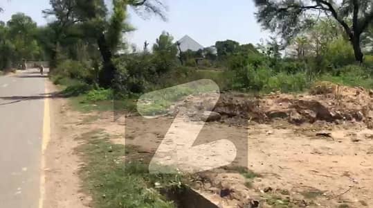 رائیونڈ روڈ لاہور میں 10 کنال زرعی زمین 10.3 کروڑ میں برائے فروخت۔