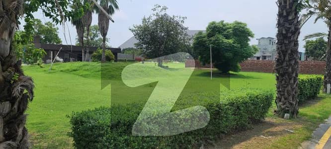 5 MARLA POSSESSION PLOT FOR SALE IN DHA PHASE 8 SECTOR Z NEAR TO UOL