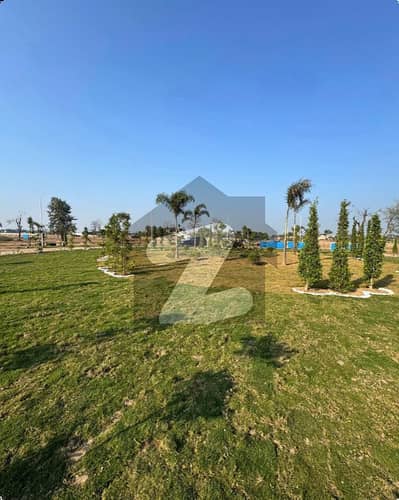 Lahore Organic Farms Society Located on Main Barki Road, Lahore.