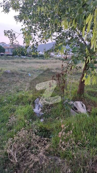 **Residential Plot for Sale D-12/4 (Main Road, Pindi Face)**