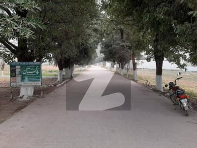 بنی گالہ اسلام آباد میں 6 مرلہ رہائشی پلاٹ 89.0 لاکھ میں برائے فروخت۔