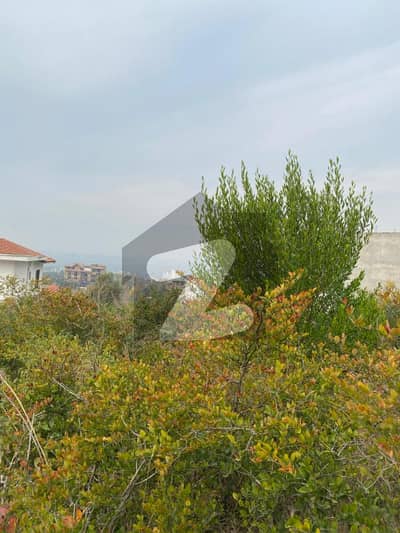Two Kanal Plot Available With Two Side Access. One Kanal Cutting With One Side Access.