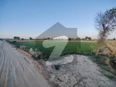 چھاپہ شیخوپورہ میں 80 کنال زرعی زمین 35.0 کروڑ میں برائے فروخت۔