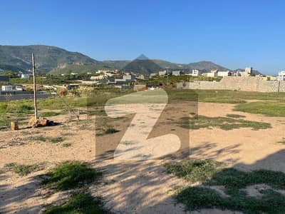 Your Ideal 4 Kanal Residential Plot Has Just Become Available In Shah Allah Ditta