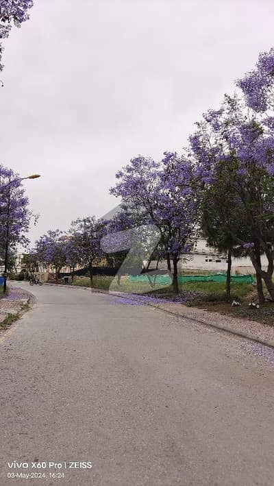 10Marla ideal location Solid land plot with stunning hills view