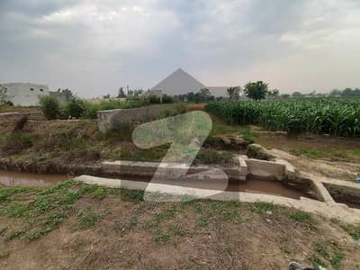 BEST OPERTUINTY FOR INVESTMENT INDUSTRIAL LAND   DAIRY FARM   POULTRY FARM   FARM HOUSE MORE DETAILS CONTACT ME