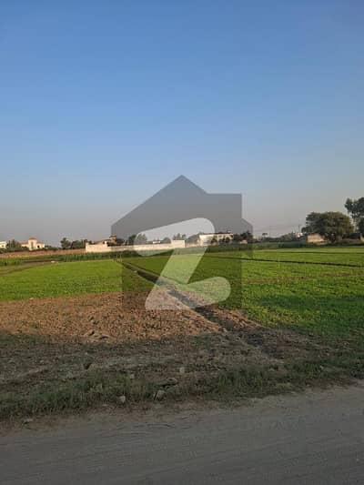 1.5 Acre Land For Sale Sialkot Dehlam Ghazi