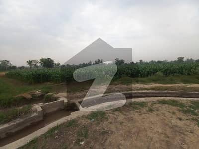 BEST OPERTUINTY FOR INVESTMENT 52 KANAL FOR SALE BEST FOR POULTRY FARM DAIRY FARM FARM HOUSE MORE DETAILS CONTACT ME