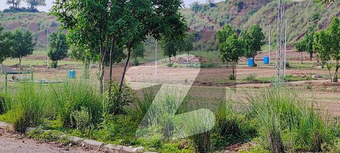 Sector Bluebell 5 Marla Possessionable Plot Street No#24