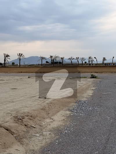 Main Street Solid 5 Marla Plot