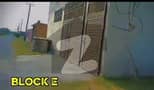 6 6