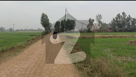 Agriculture Lands Available For Sale