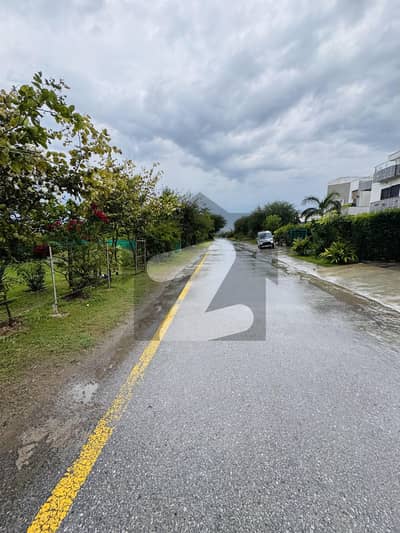 50x90 (1 Kanal) Top Location Plot For Sale In D-12/3